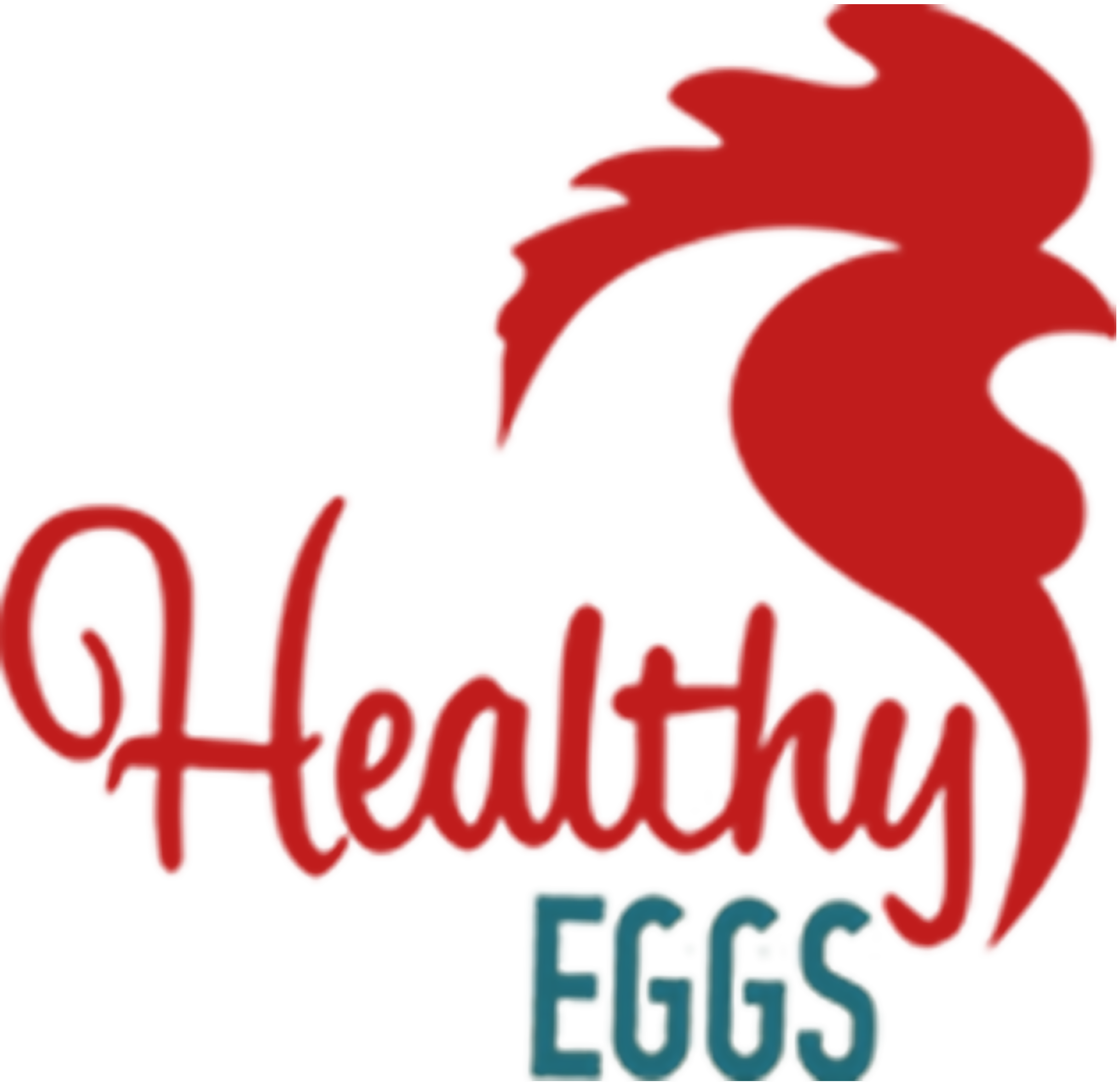 healthy eggs